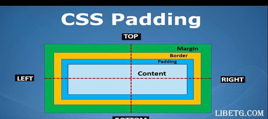 CSS Padding Jenis dan Contohnya